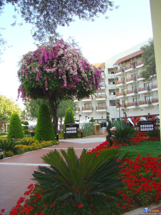  Club Med Palmiye, 
