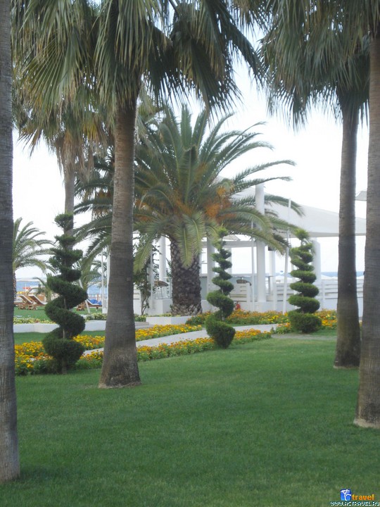  Club Med Palmiye, 