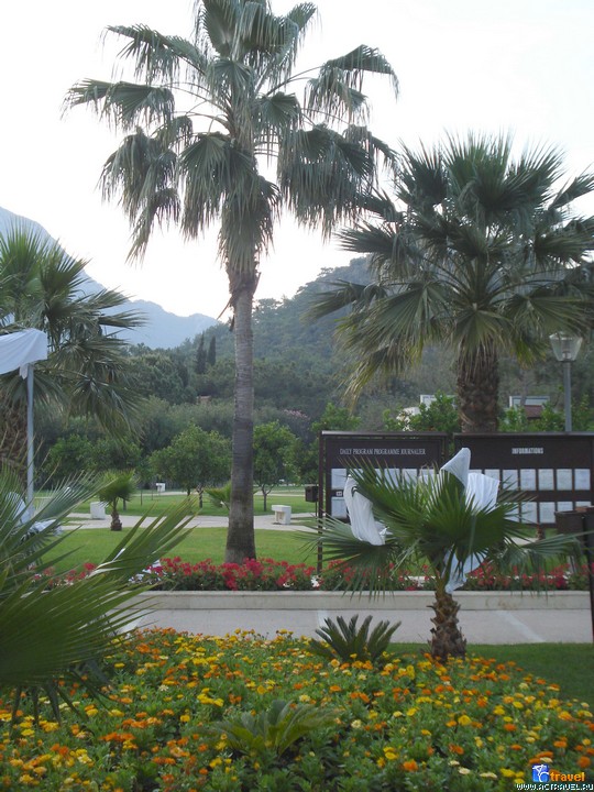 Club Med Palmiye, 
