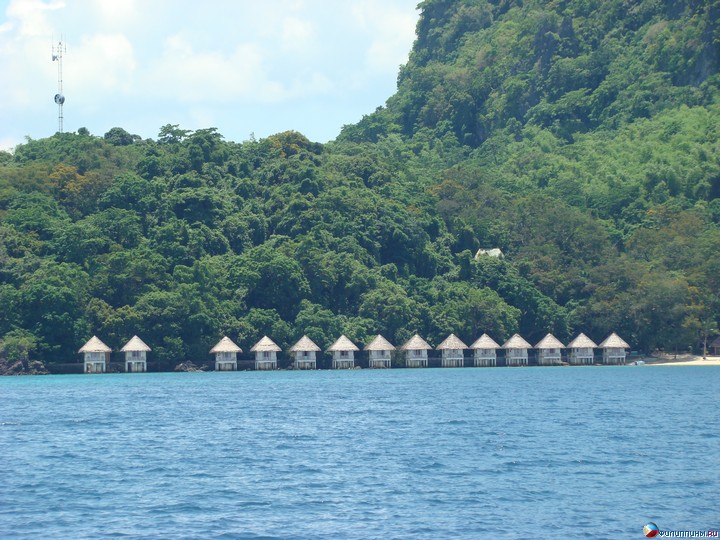 Club Noah Isabelle