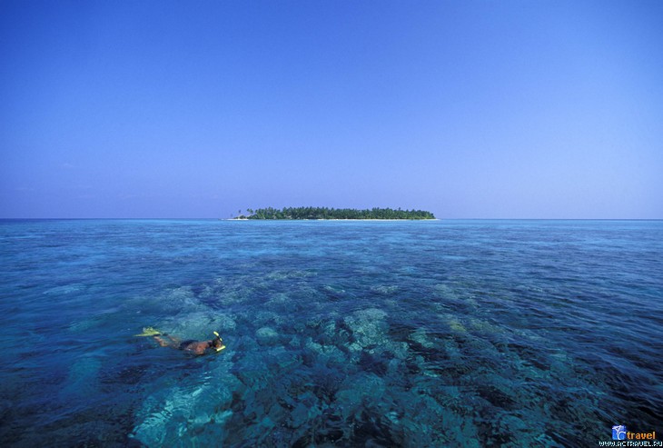 -  ,  Maldives Aggressor